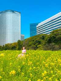 📍浜離宮恩賜庭園 🌸🗼東京・桜と菜の花を楽しむ春散策