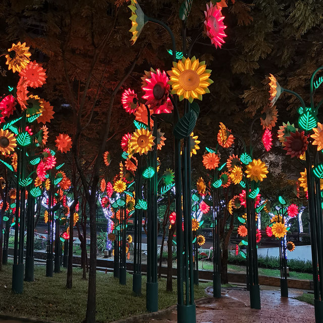 Colourful LED lights backdrop