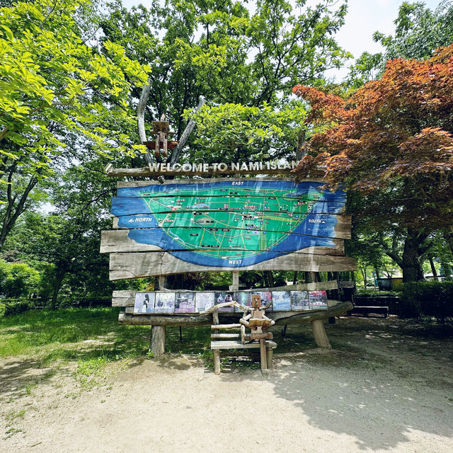 Nami Island @ Gangwon-do 🇰🇷