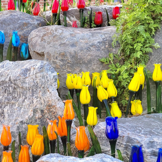 Sinan Tulip Festival