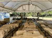 Ancient Historical Park