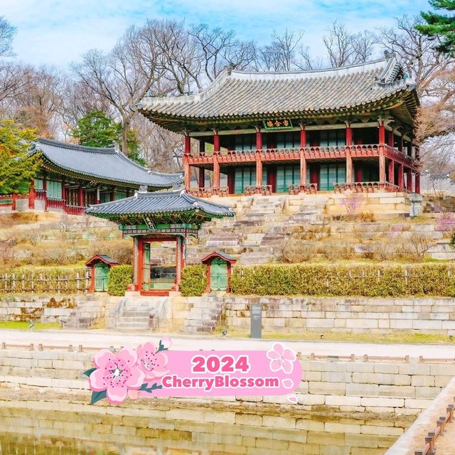 Changdeok-gung palace in Korea 
