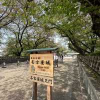 Flowering season at Nagoya 