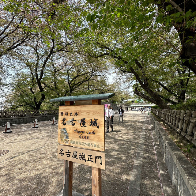 Flowering season at Nagoya 