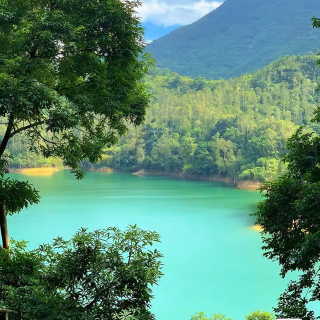 流水響水塘~綠意盎然 流水響水塘~綠意盎然