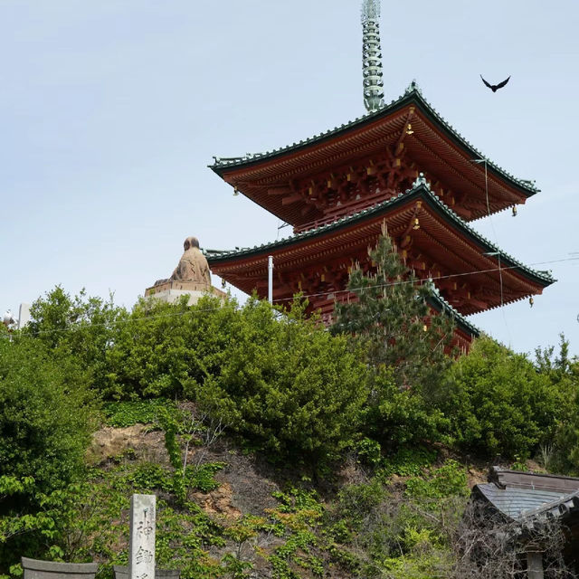 【橫間海岸】自然寶島，春天好去處！