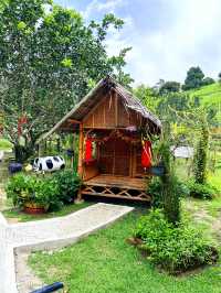 Fun Activities at The Bentong Farm 