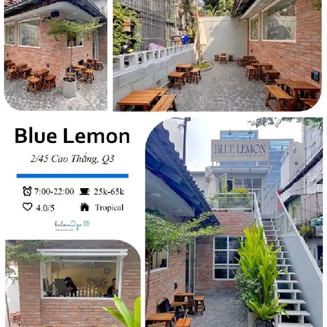 𝗕𝗟𝗨𝗘 𝗟𝗘𝗠𝗢𝗡