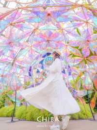 【千葉】京成バラ園でバラ以外の楽しみ方♫