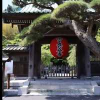 日本古都鎌倉