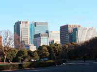 Charming Imperial Palace Garden in Tokyo 🇯🇵