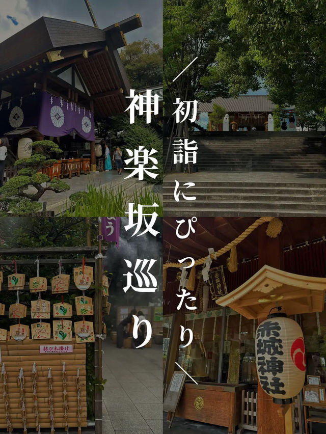 【神楽坂🎍】縁結びを願う❤️初詣スポットを巡るプラン⛩️✨