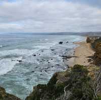 Exploring the Great Ocean Road and the Twelve Apostles: A Must-See Adventure from Melbourne