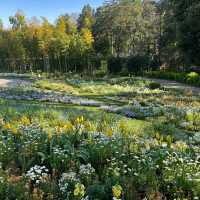 【東湖公園】觀賞野生水鴨，春天好去處