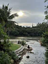 【大自然之旅】仙湖植物園：適合現在前往！