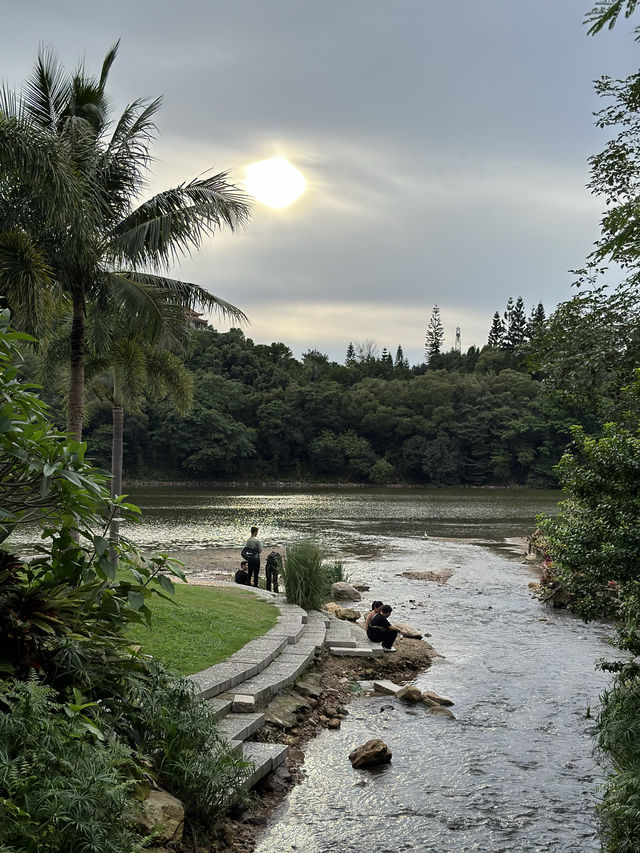 【大自然之旅】仙湖植物園：適合現在前往！