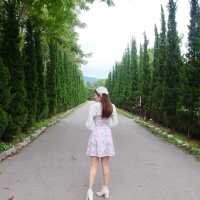 AlpacaHill สวนสัตว์ที่น่ารักสุด ๆ ในสวนผึ้งค่ะ