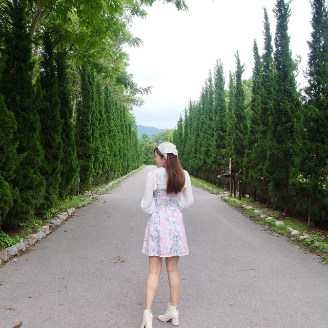 AlpacaHill สวนสัตว์ที่น่ารักสุด ๆ ในสวนผึ้งค่ะ