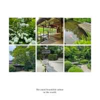 「清水觀音堂」- 神聖莊嚴的建築藝術與寧靜祥和的庭園景緻，探索東京神道文化的重要目的地