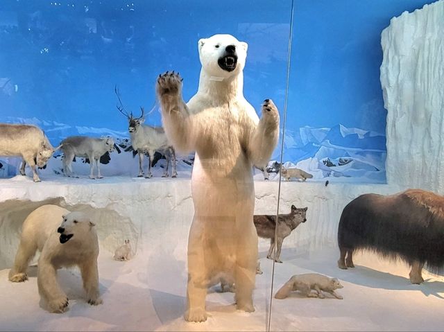 台南|奇美博物館 台南|奇美博物館