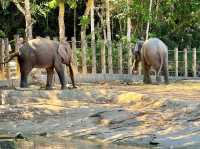 Lok Kawi Wildlife Park