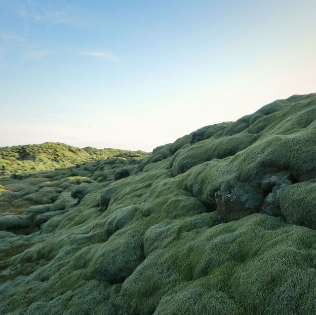 The Mossy lava of Iceland เส้นทางแห่งทุ่งมอส