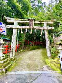 〜京都府〜混まない！初夏の夏詣におすすめ神社⛩️