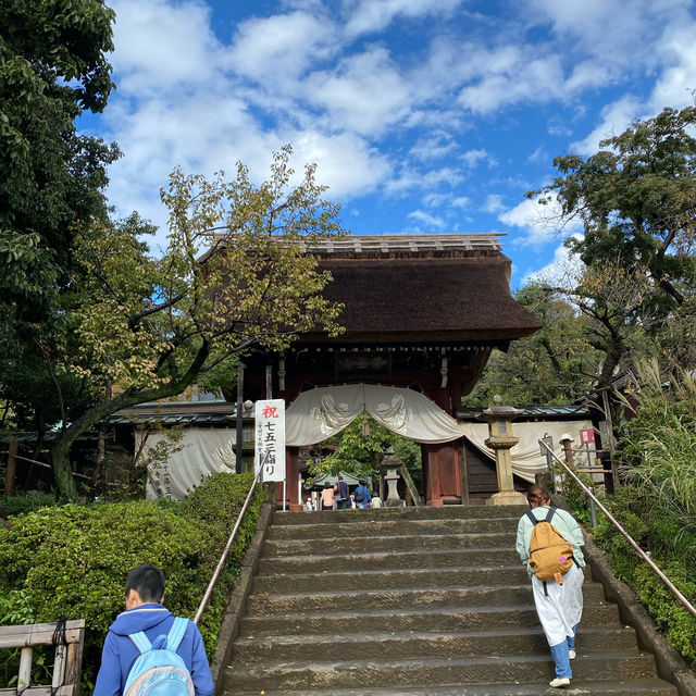 東京なのに自然豊かな深大寺