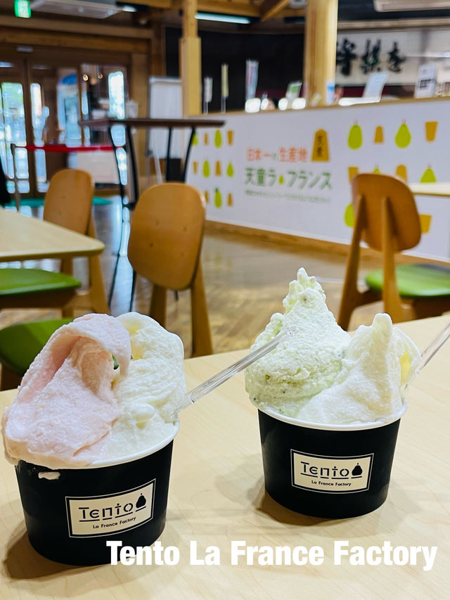【山形県:天童】山形らしい特産品を使ったジェラートが楽しめるお店