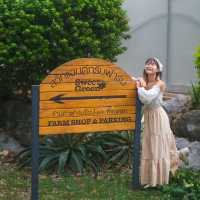 เที่ยวฟาร์มธรรมชาติ เก็บผัก เพ้นท์รูป ในเขาใหญ่  