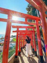 【愛知】海を望む展望鳥居がある神社