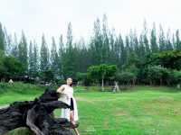 ภูผา ป่าสน ราชบุรี