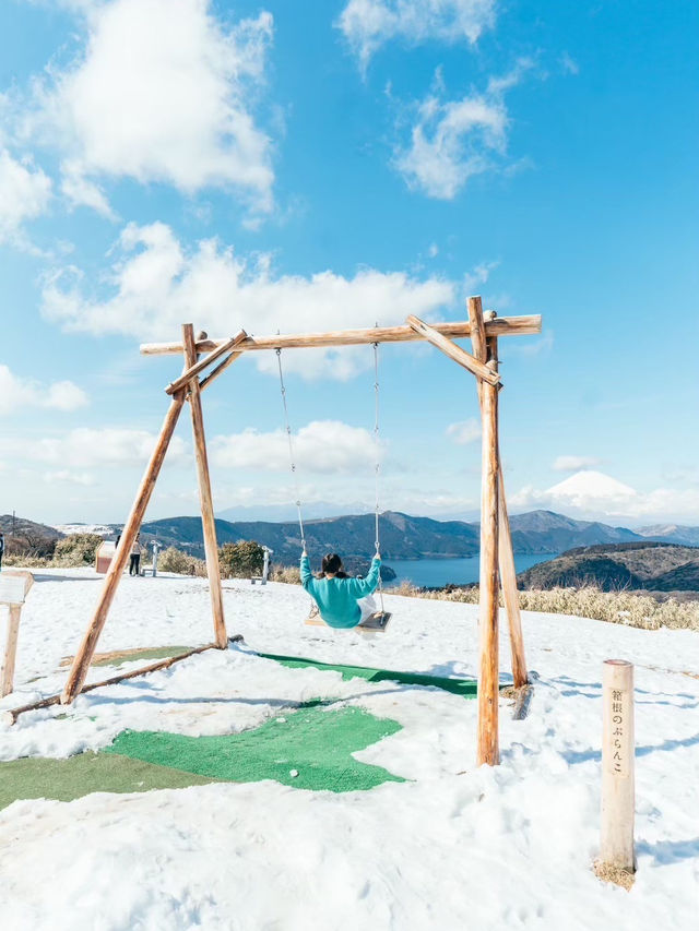 【ここどこ？】富士山を眺められる大きなブランコ!!!