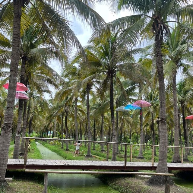 치앙마이 핫플 코코넛마켓🌴