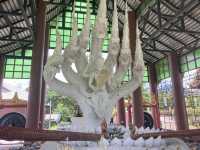 เที่ยวขอพรโชคลาภม่อนพญานาคราช เชียงใหม่ 
