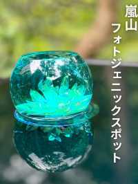 🇯🇵嵐山フォトジェニックスポット