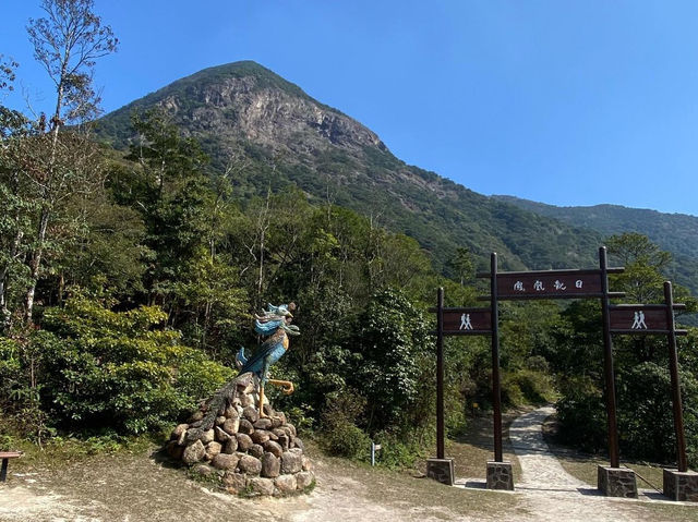 【香港】挑戰與美景並存！徒步鳳凰山，俯瞰大佛，機場和城市。適合任何時間和場景
