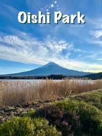 Oishi Park 