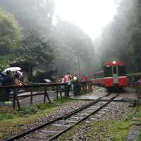Alishan...อาหลีซาน ธรรมชาติไต้หวัน