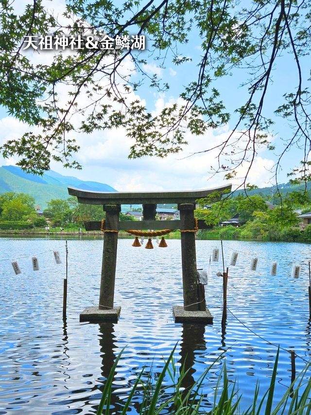 【大分】由布院のおすすめスポット7選