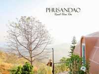 PhuSandao Resort-ภูแสนดาวรีสอร์ท
