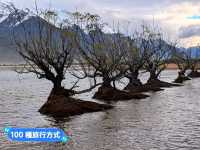 紐西蘭南島-最接近天堂的地方：Glenorchy