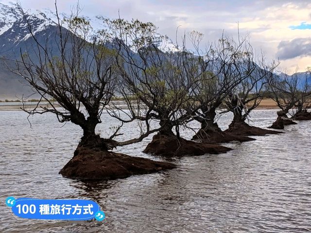 紐西蘭南島-最接近天堂的地方：Glenorchy