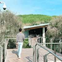 ## สวนทิวลิปเมืองนอกย่อมๆมาอยู่ที่ระยองแล้ว! 