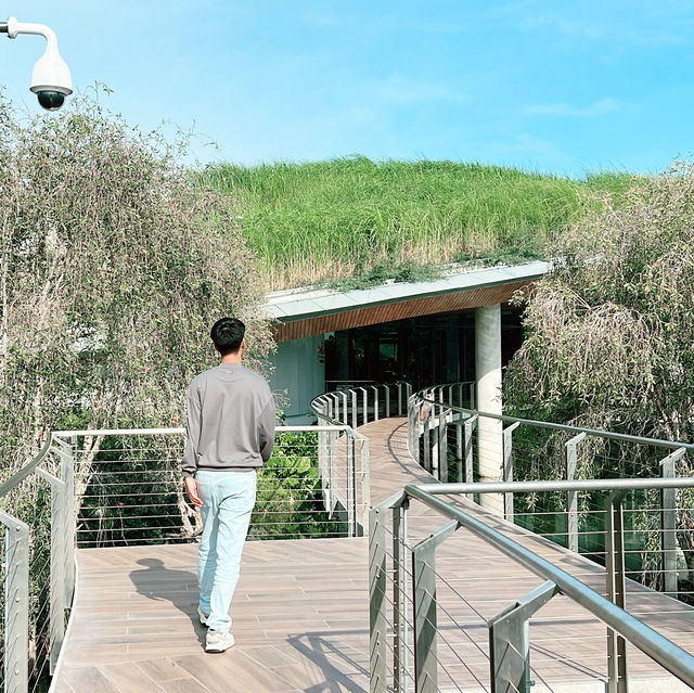 ## สวนทิวลิปเมืองนอกย่อมๆมาอยู่ที่ระยองแล้ว! 