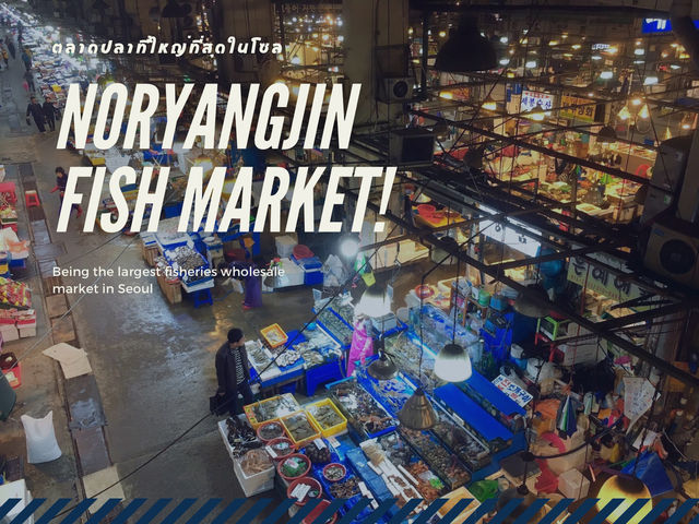 รีวิว ตลาดปลา Noryangjin 🐟🦐🦞🦀 (กรุงโซล)