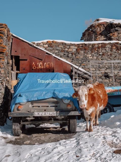 Erkak mushuklarning har xil turlari Xotinim meni qaynonam bilan ushlab oldi