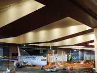 【JL】成田→サンフランシスコ エコノミークラス✈️