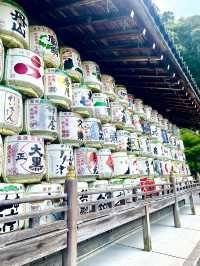 【京都府】日本酒好き集合！お酒の資料館
