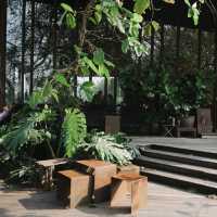 SOP Cafe - คาเฟ่ของกาลเวลาและธรรมชาติ